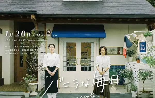 《香草的每天》：治愈人心的日常絮语，感受平凡中的诗意