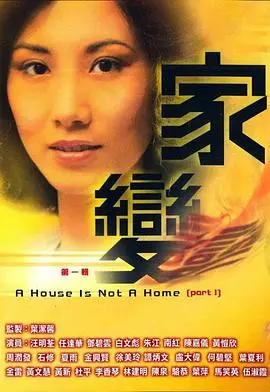 家变 海报