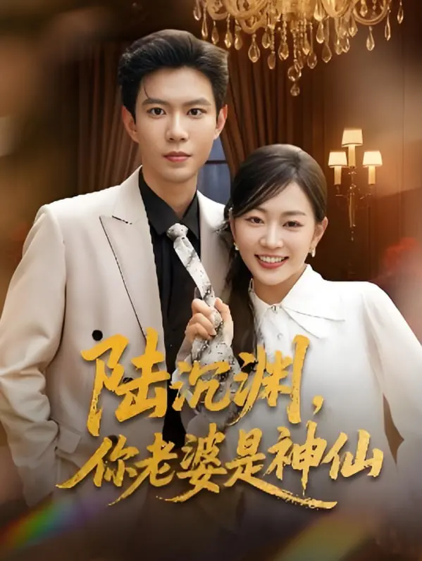 陆沉渊,你老婆是神仙 海报