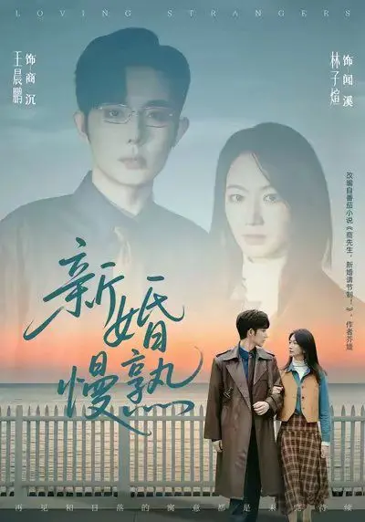 《新婚慢熟》：都市爱情的慢节奏协奏曲，婚姻保鲜的甜蜜秘诀？