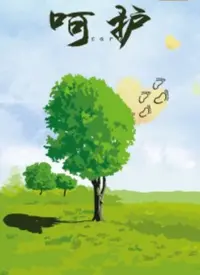 《呵护》：当脆弱灵魂遇上坚韧守护，一场关于爱与救赎的暖心治愈之旅