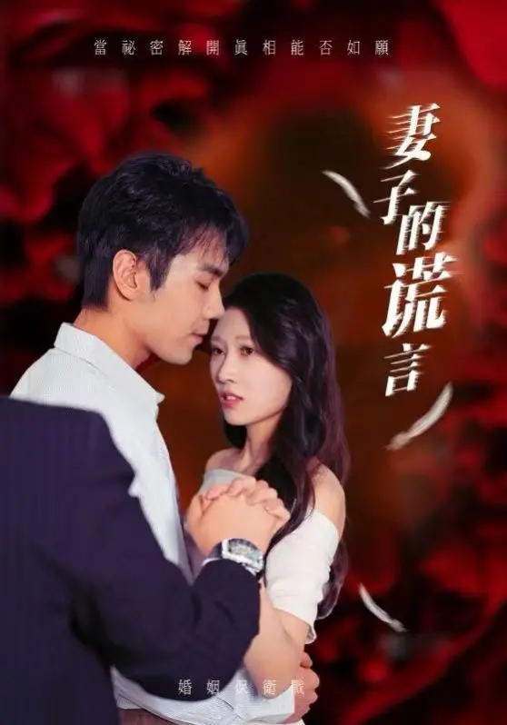 《妻子的谎言》：揭开婚姻迷雾，一场关于爱与救赎的惊心动魄的欺骗之旅